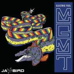 MGMT- Electric Feel (Jay Bird Remix)