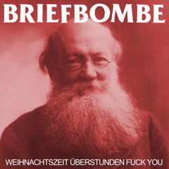 Weihnachtszeit Überstunden Fuck You