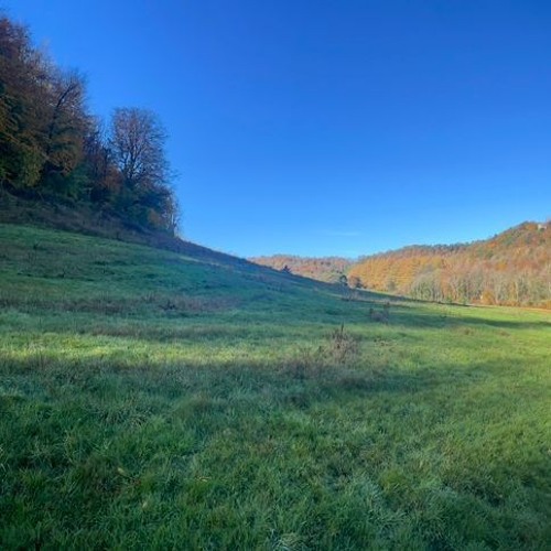 ARPEGGIO IN SOUP.m4a