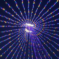 Justin Kelly An tseanscoil