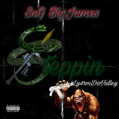 Steppin' | SnG Big James (feat. Ly4rmDaValley)