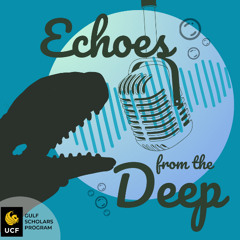 Episode 5: Dr. McComb