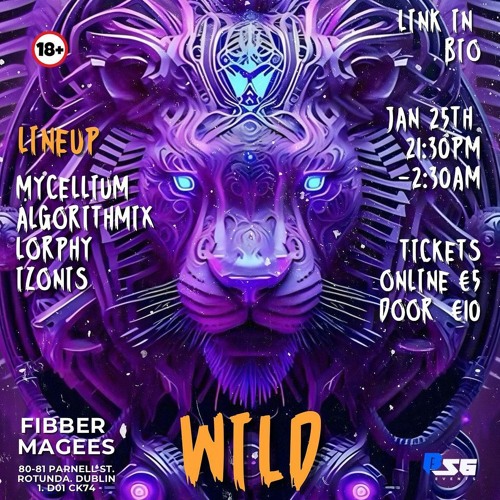 2024 - 01 - 25 - Wild - B56 Events - 04 Algorithmix