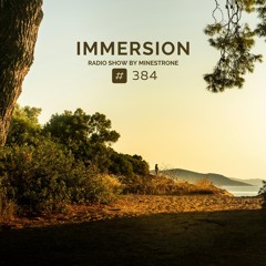 Immersion #384 (16/10/24)