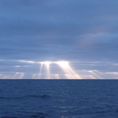 Serenity