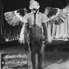 Miss Lonelyhearts - Lord Of Dark Places