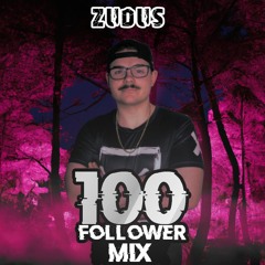 100 Follower Mix