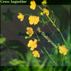 Cross Augustine - The Underground (Original Mix)