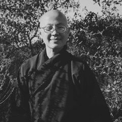 Sister Dang Nghiem: Using Mindfulness to Reclaim Your Power and Heal Trauma