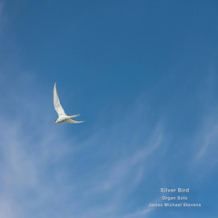 Silver Bird (Organ Solo)