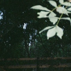 untitled-1