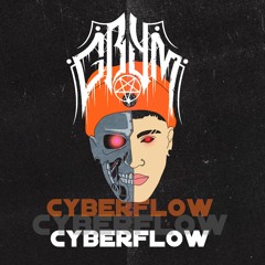 GRYM - CYBERFLOW (PLATE)