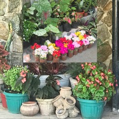 shawty smells like flowers