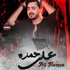 Baba Tera Madina Kesa Badal Gaya Hai  --  Ali Hamza  --  Ayam e Fatima (s.a)  -  2021