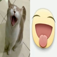 aknowledge