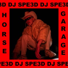 HORSE GARAGE