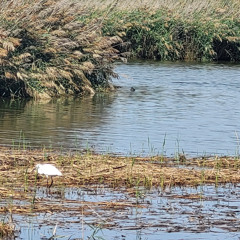Stretching In The Dark