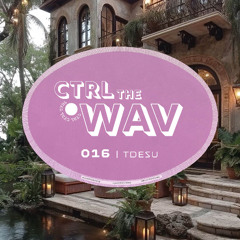 Ctrl The WAV 016 | Tdesu
