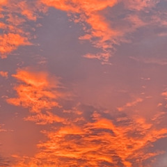 Dreaming of Summer.......25