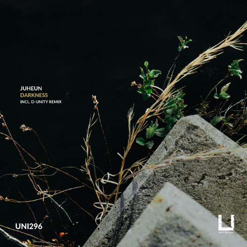 Juheun - Darkness (D-Unity Remix) [UNITY RECORDS]