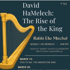 Eyes to See: The Unexpected King, Rabbi Elie Mischel