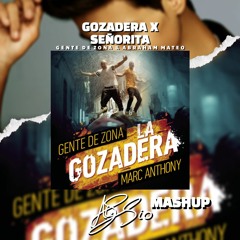 Gozadera X Señorita (Alessio Mashup) FREE DOWNLOAD