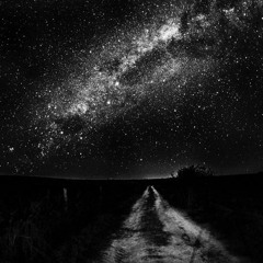 Searching For Freedom