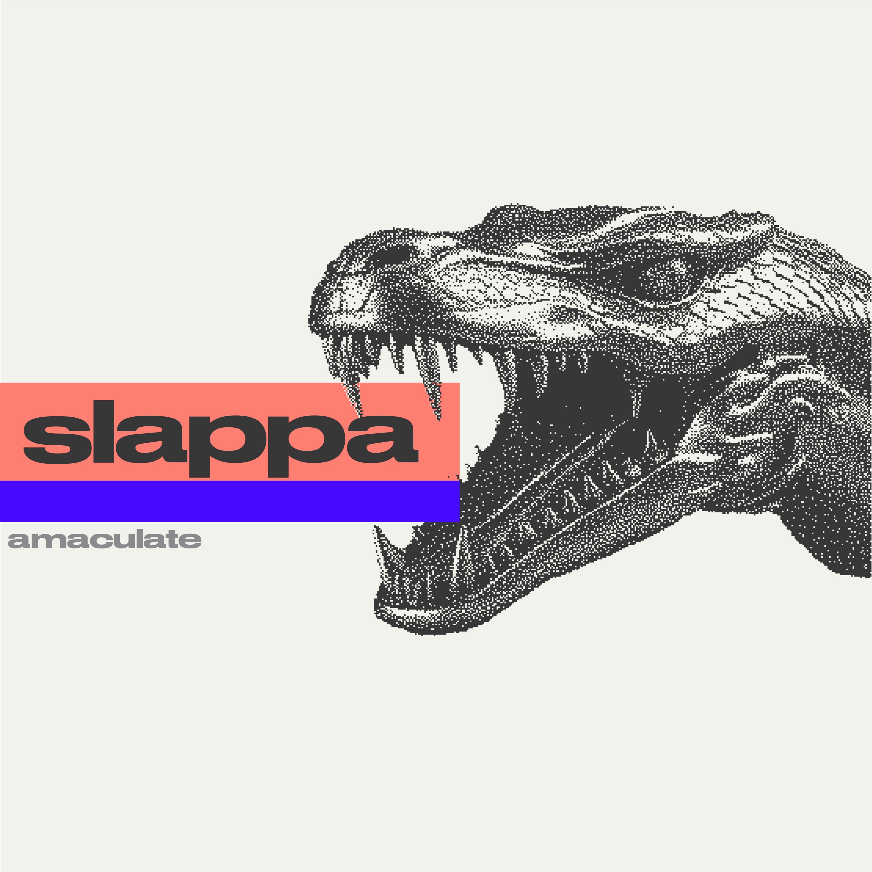 slappa episode artwork