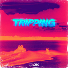 Lobo DJ - Tripping
