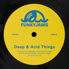 PREMIERE:  Funkyjaws - Deep & Acid Things [ Funkyjaws Music]