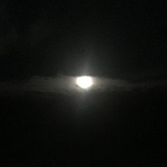 Trap Beat Instrumental