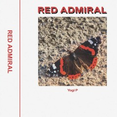 Yogi P - Red Admiral