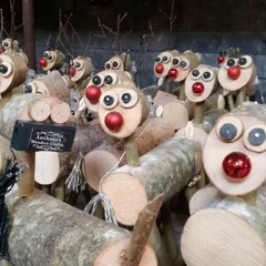 The Open Door - Santa Reindeers In Killeigh