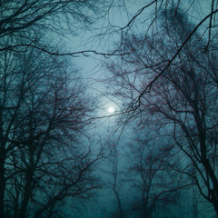 Healing (Dedicated to TVMBY and friends - Read Description)