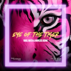 Raul Mata & Marcos Adam - Eye Of The Tiger