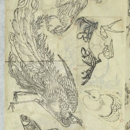 étude.study1