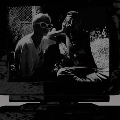 $COPE x Yen STEED - chameleon