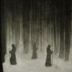 I overdosed at the gathering of the juggalos in 2017, and all I got was this lousy shirt.