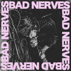 Bad Nerves/Teen Mortgage/Alien Nosejob/Surfin Charlie collection