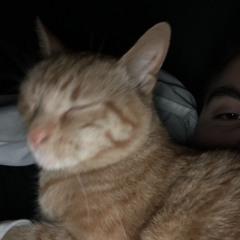 (LuhChoppa) chillin' wit my kat