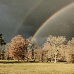 beautiful day