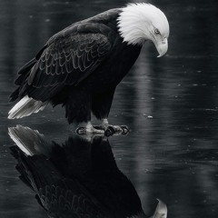 Keep yuh head on 🙏