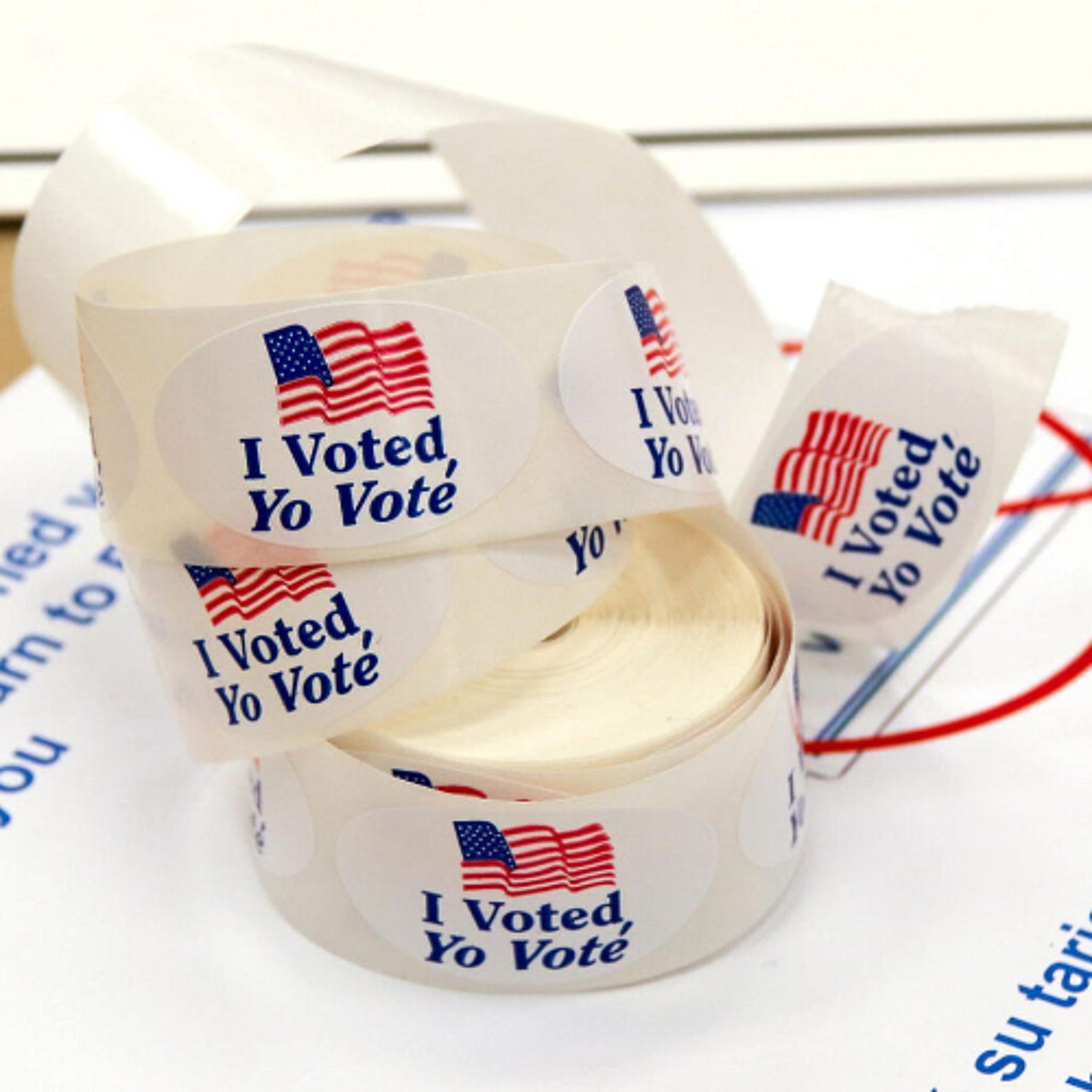 110425 Election Day in New York City, Shutdown Day 35,  Constitutional Crisis in America episode artwork