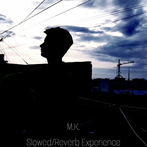 Stream GAMPER & DADONI Bittersweet Symphony (feat. Emily Roberts