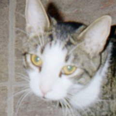 LATIN JAZZ JAM bach&jones (C) 1980