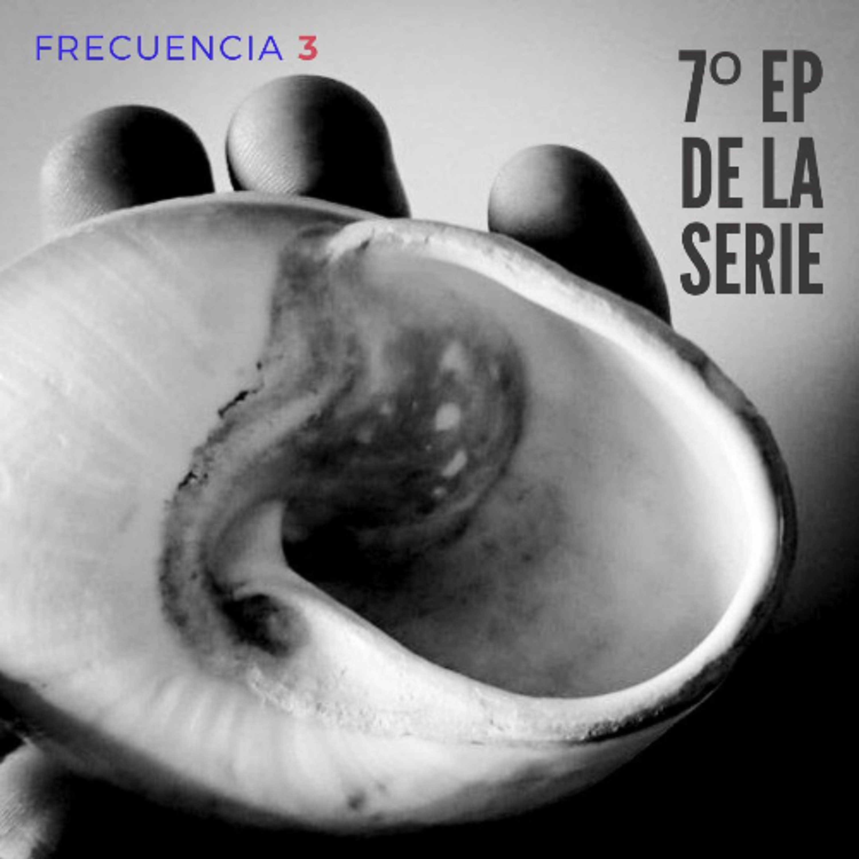 Máquina de Inscrever > Programas da Série