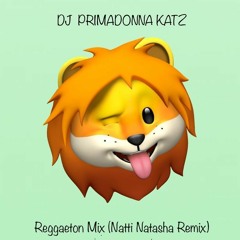 Reggaeton Mix(Natti Natasha Remix)