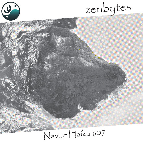 a rock untouched - Naviarhaiku607