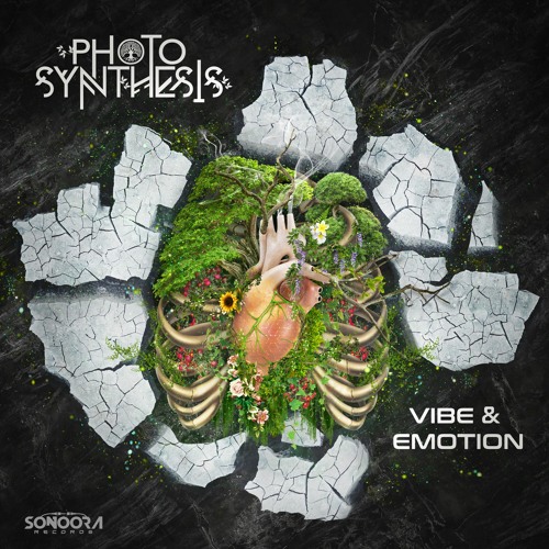 7. Photosynthesis - Vuelo Directo l OUT NOW!