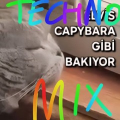 ELVİS CAPYBARA GİBİ BAKIYOR - TECHNO MIX